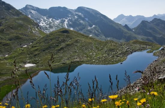 Berghotel Hofer - Rio di Pusteria / Maranza 22