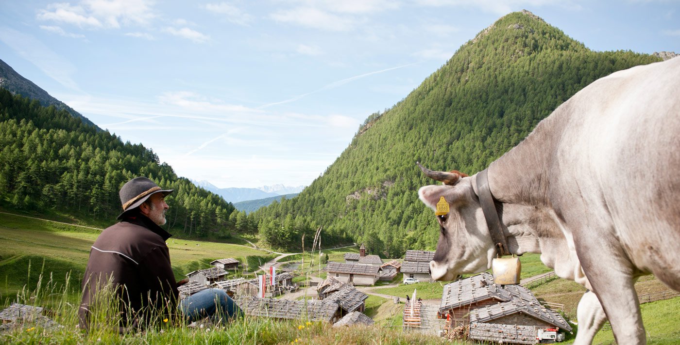 Vacanze escursionistiche a Maranza – I vantaggi della regione alpina Gitschberg Val Giovo